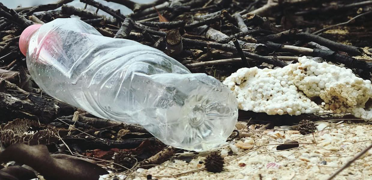 Dal suolo ai piccoli mammiferi ecco come la plastica viaggia negli ecosistemi