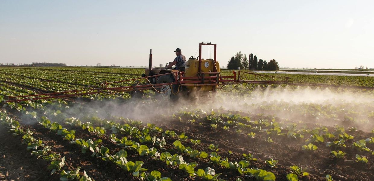 Glifosato, uno studio evidenzia il legame con i danni al fegato