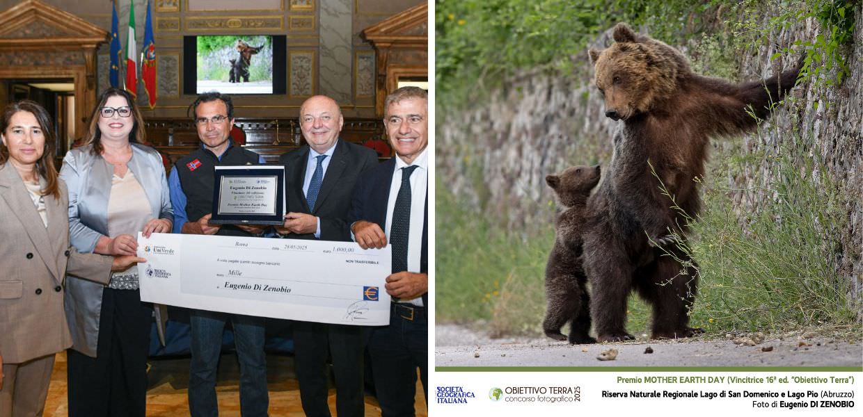 Vince la 16°edizione del concorso fotografico Obiettivo Terra Eugenio Di Zenobio con la tenera foto di mamma orsa con orsetto, lungo le strade della Riserva Naturale Regionale Lago di San Domenico e Lago Pio in Abruzzo.