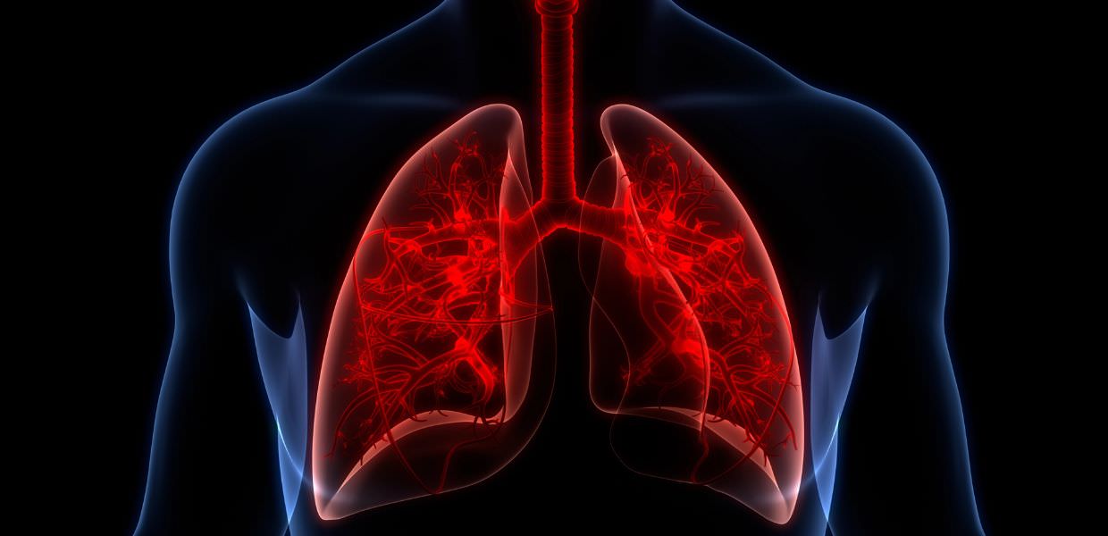 Microplastiche, nei polmoni inibiscono le cellule immunitarie. Lo studio