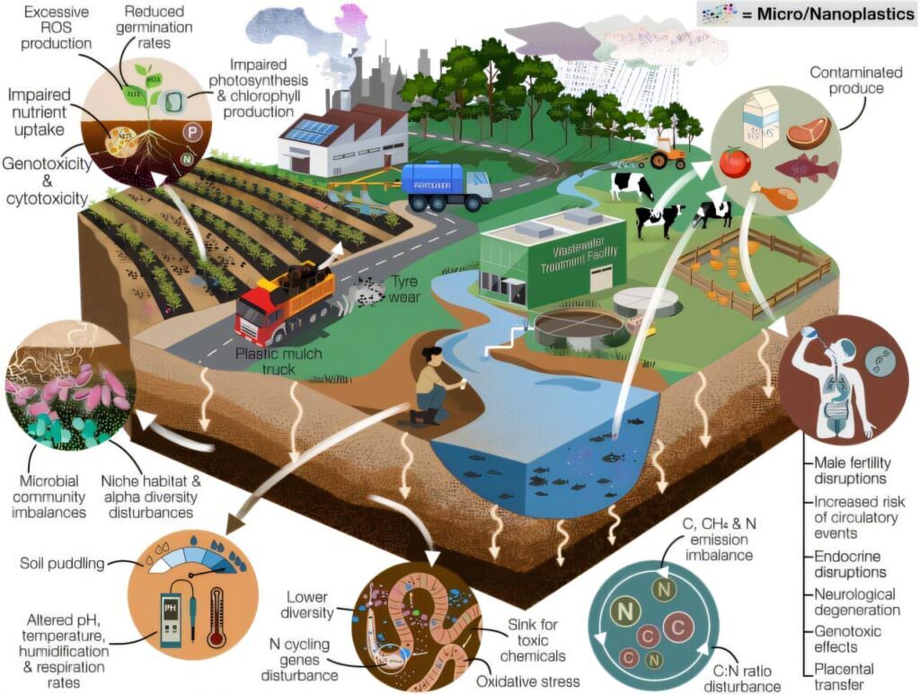 Microplastiche, sono di più nei terreni agricoli che negli oceani. Lo studio