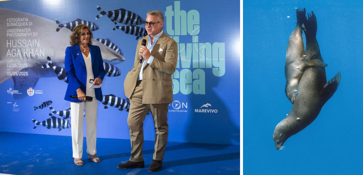 Milano, al Museo di Storia naturale la mostra “The Living Sea”