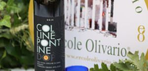 Olio, a Perugia assegnati i premi del concorso nazionale 'Ercole Olivario', primo classificato DopIgp fruttato intenso