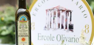 Olio, a Perugia assegnati i premi del concorso nazionale 'Ercole Olivario', primo classificato Dop_Igp Fruttato Leggero