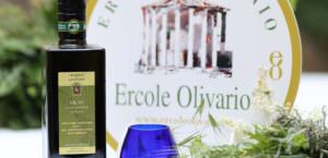 Olio, a Perugia assegnati i premi del concorso nazionale 'Ercole Olivario',1° classificato categoria Dop_Igp Fruttato Medio