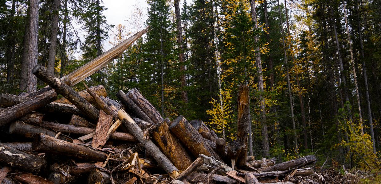 Overshoot day, il 6 maggio segna l'inizio del consumo delle risorse del 2026