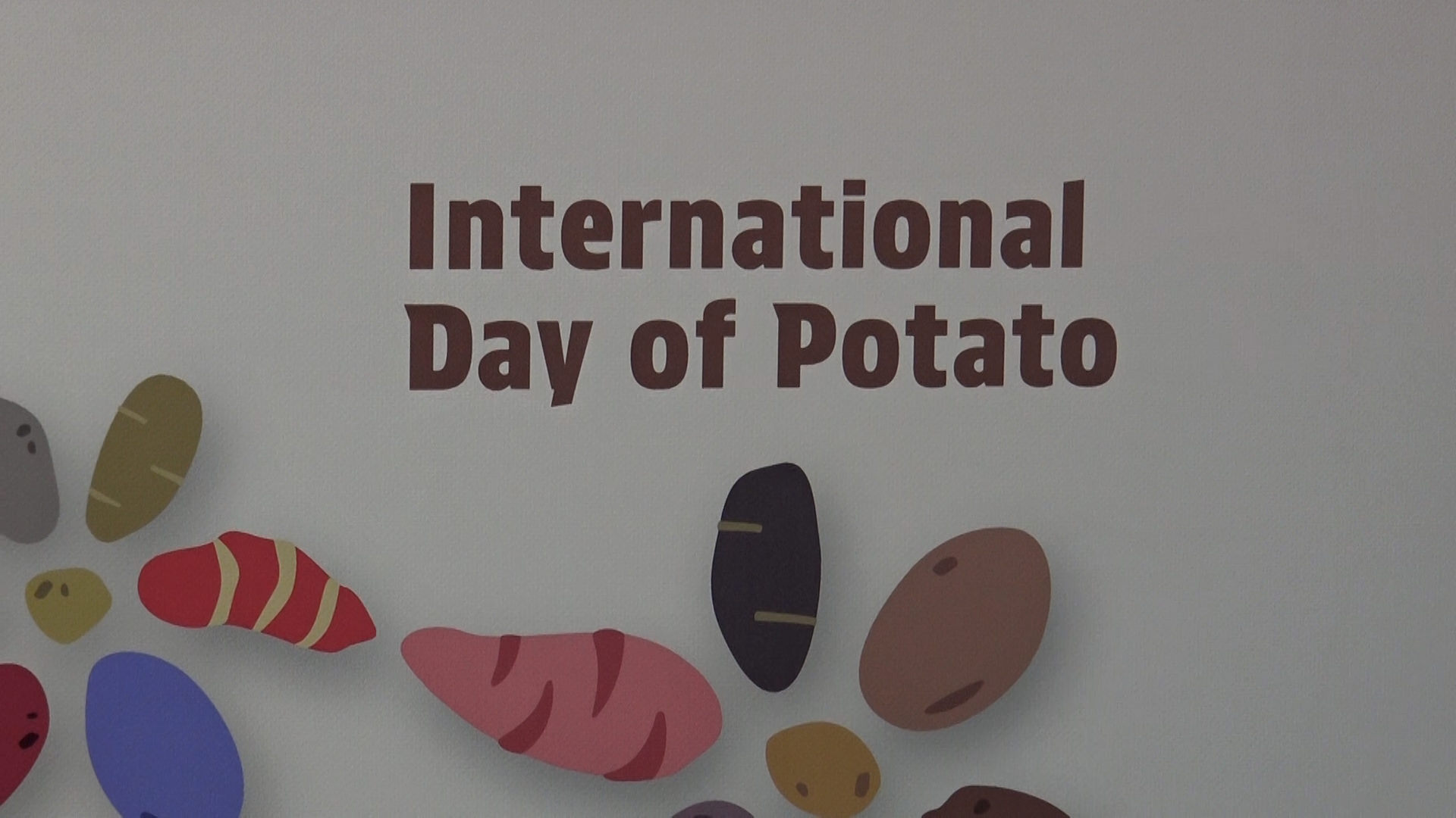 Giornata Internazionale della patata, il Perù in prima linea per la preservazione