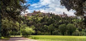 Turismo slow, ‘Passeggiate & Buon gusto’ per conoscere gli oliveti di Amelia (Tr), Montecampano