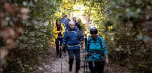 Turismo slow, ‘Passeggiate & Buon gusto’ per conoscere gli oliveti di Amelia (Tr), passeggiata