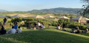 Umbria, arriva il weekend di ‘Cantine Aperte’ con tante esperienze in tutta la regione, foto vigneti