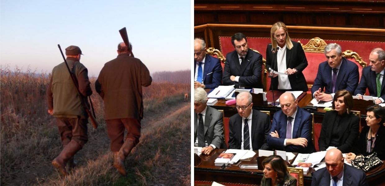 Caccia, arriva la riforma del Governo Meloni. Ambientalisti in rivolta