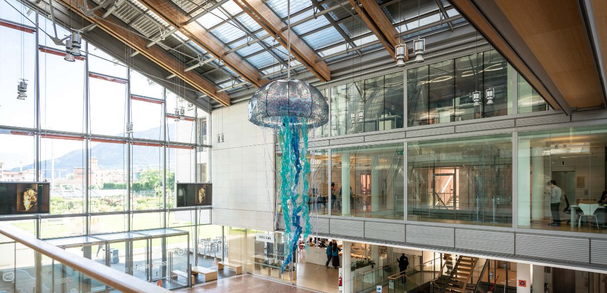 Trento, al MUSE arriva una medusa di plastica riciclata | VIDEO