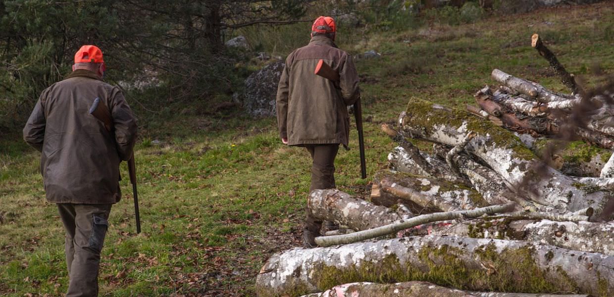 Riforma della caccia, arriva la petizione del WWF Italia