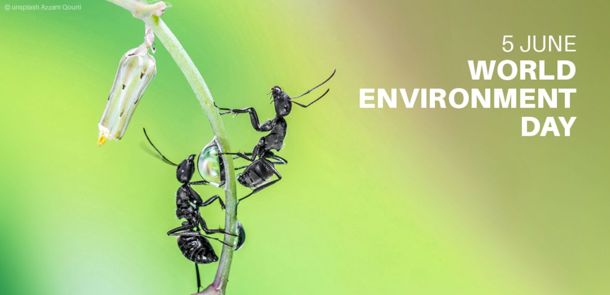 L'inquinamento da plastica al centro della Giornata mondiale dell'Ambiente 2025