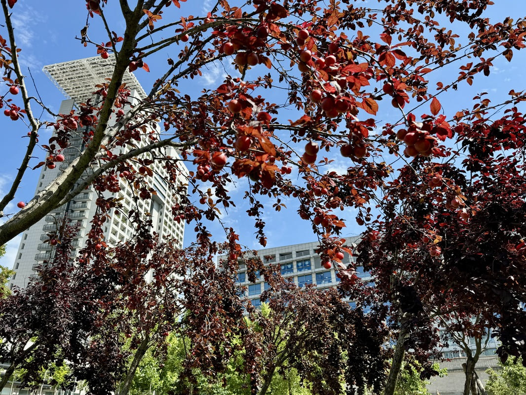 3° edizione di “AND – Arte, Natura e Didattica”, alla scoperta della coscienza ecologica