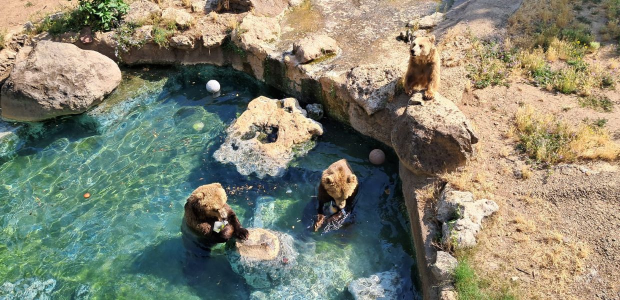 Alla scoperta del Bioparco di Roma. Il Magazine