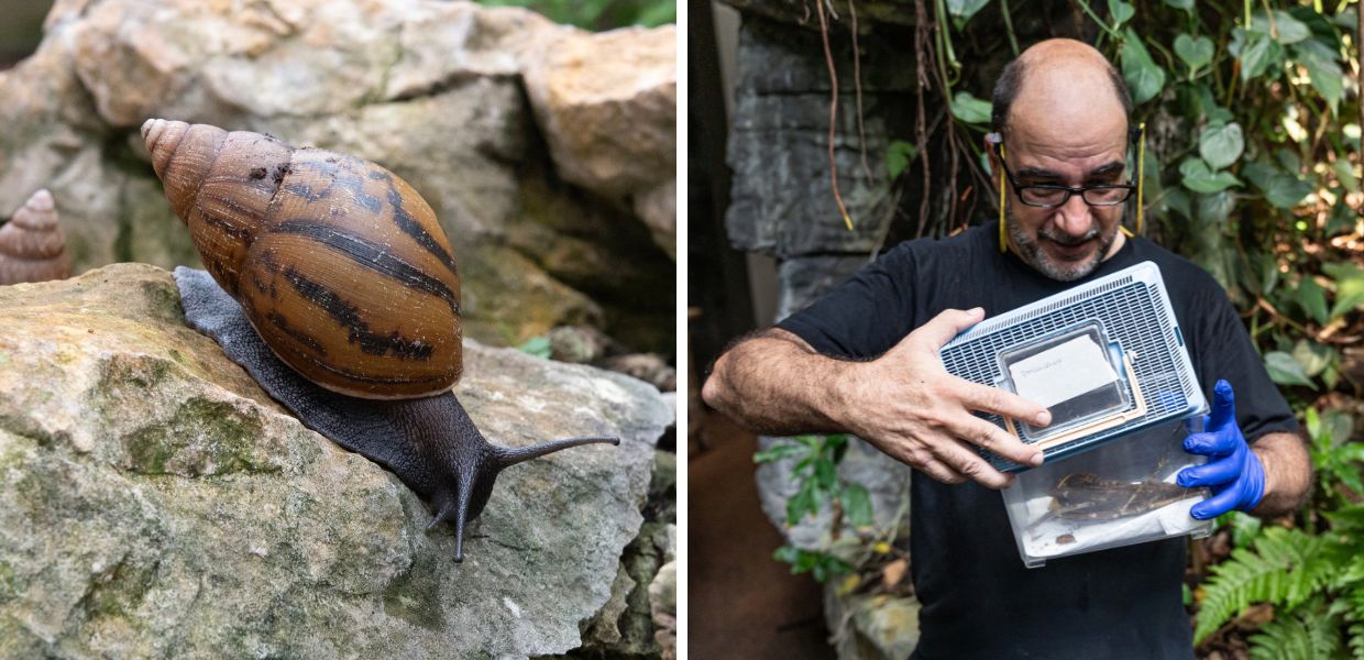 Animali invertebrati, al MUSE di Trento la mostra "Bugs' Life"