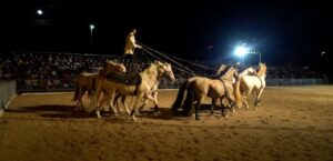 Cascia (Pg), tanti eventi per l’estate 2025. Il 20 agosto il Gran Galà Equestre, Gran Galà Equestre