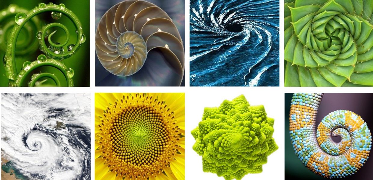 Città, affrontare la crisi climatica con bioarchitettura e biomimetica