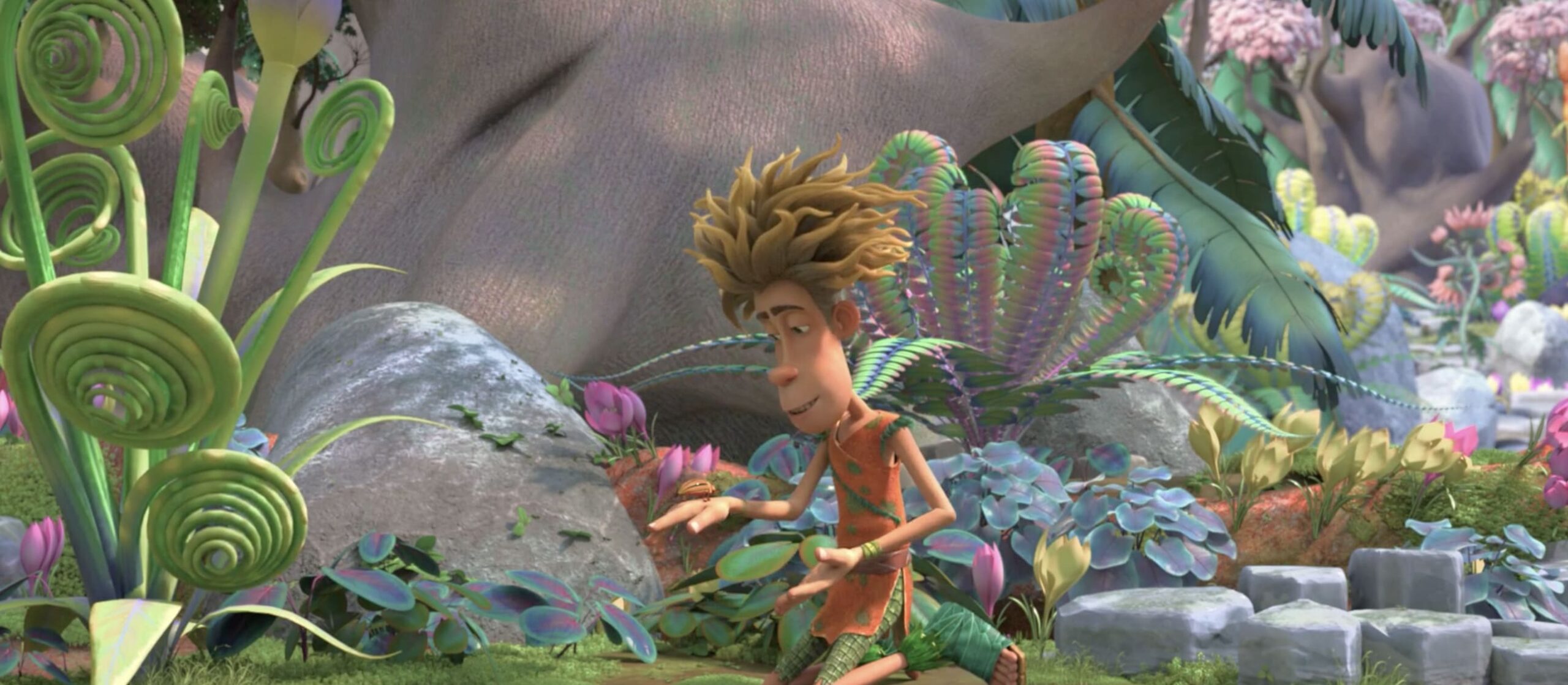 Maracuda foto 1 scaled