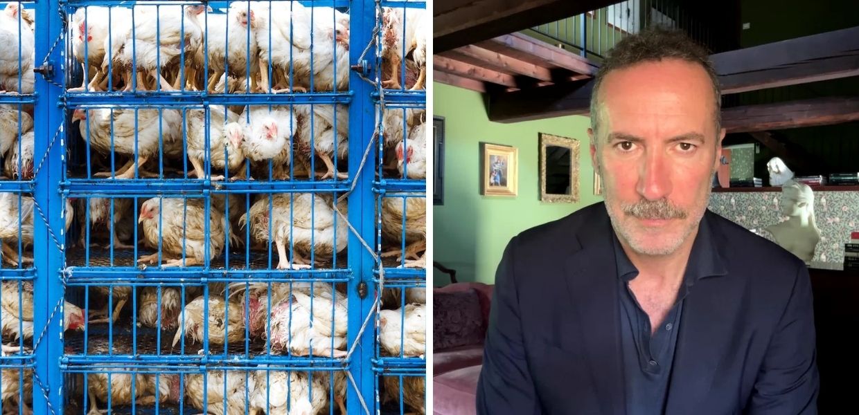 Allevamenti intensivi, il commento del giornalista Luca Sommi