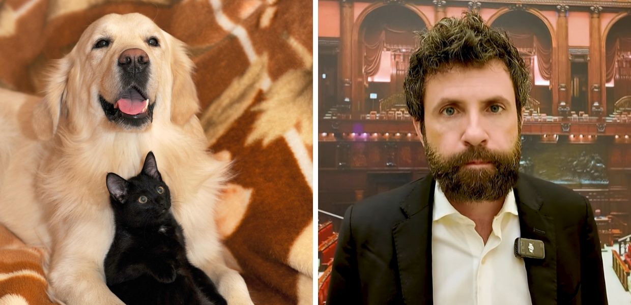 Malattia o morte dell'animale domestico, AVS propone congedi e permessi retribuiti