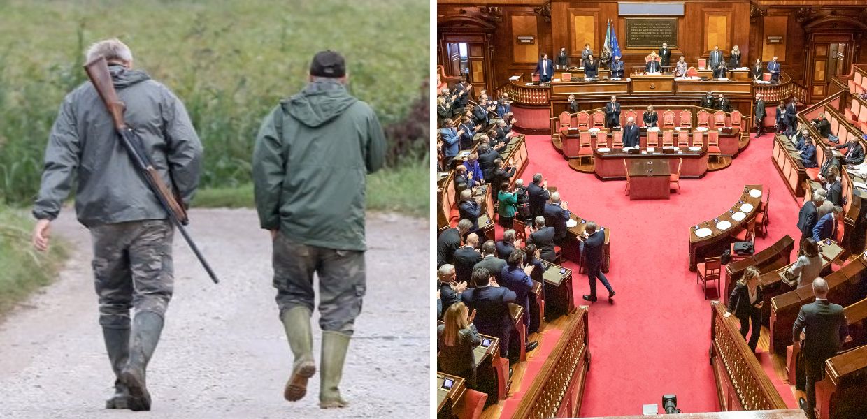 Caccia in Italia, al via al Senato l'esame del disegno di legge
