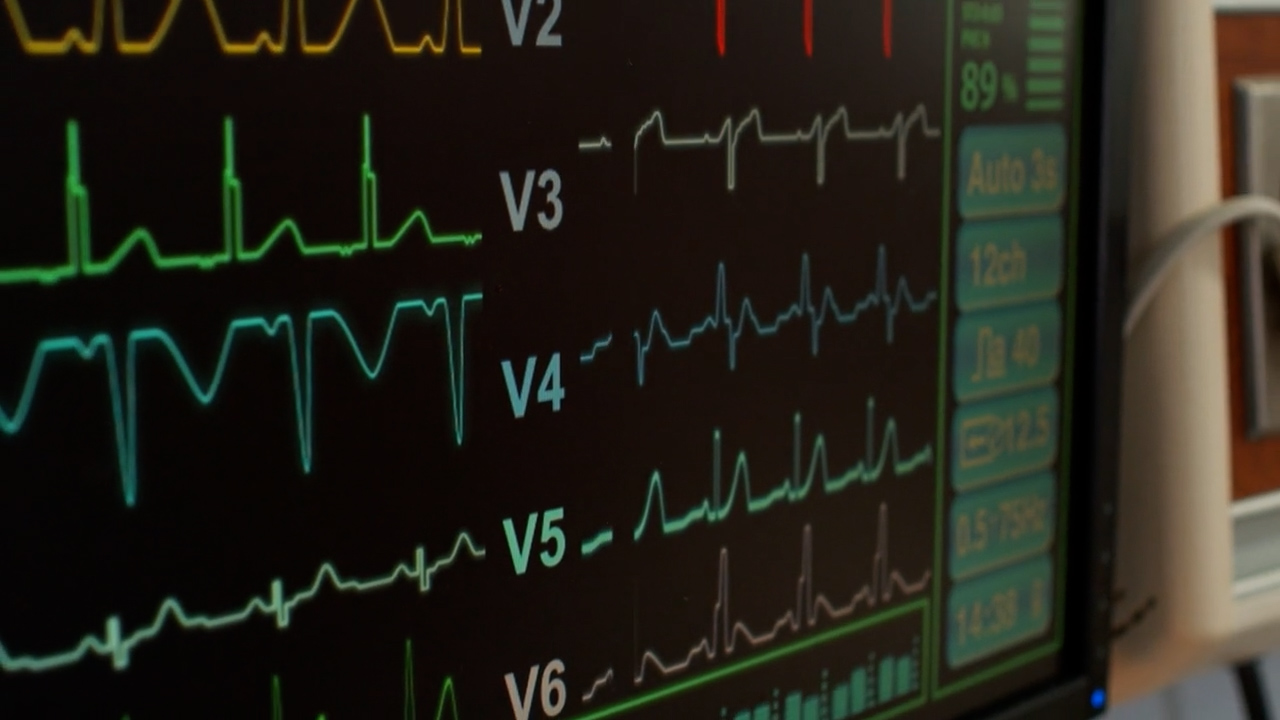 Virus West Nile, in Italia mortalità confermata al 15% con 275 casi confermati