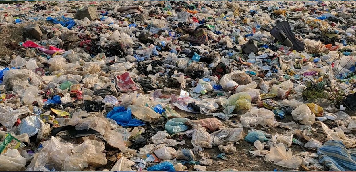 Ginevra, Conferenza Onu contro plastica, il punto di Alfonso Pecoraro Scanio