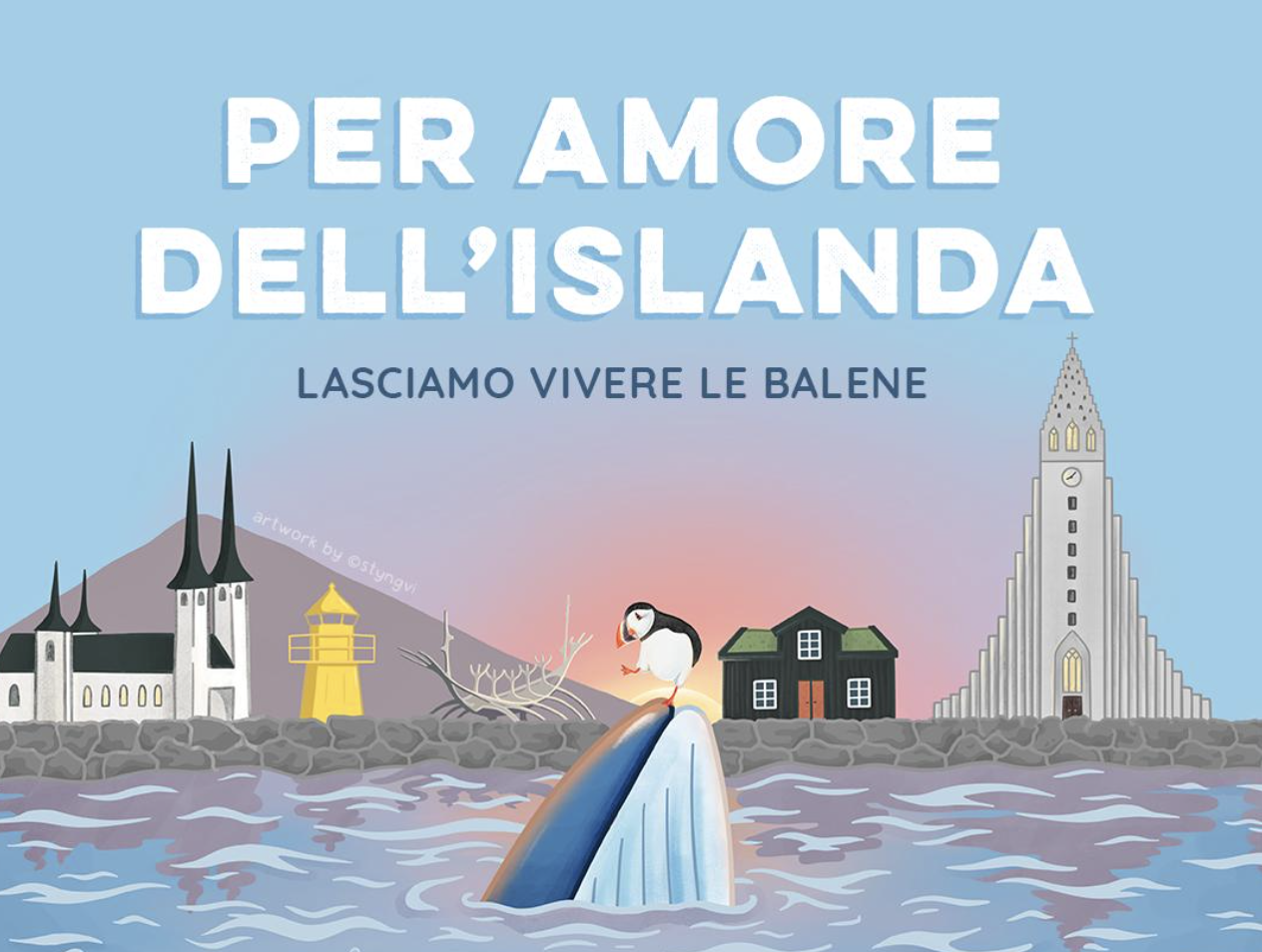 "Non mangiate la carne di balena in Islanda", l'appello del gruppo animalista