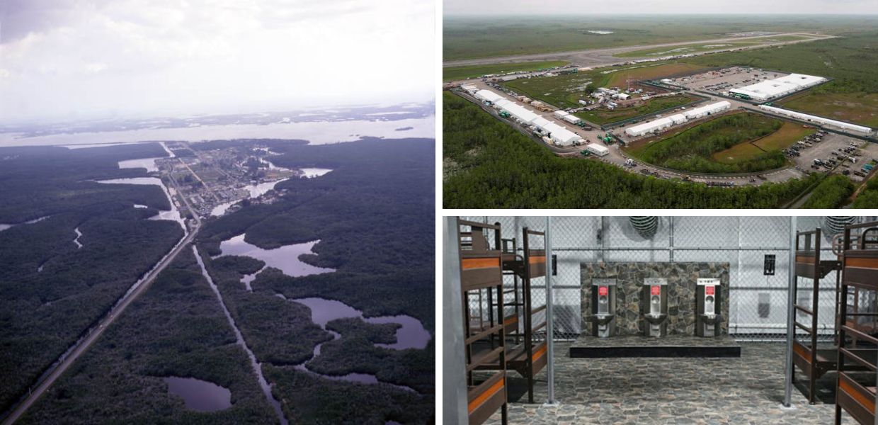 alligator alcatraz chiusura ambiente