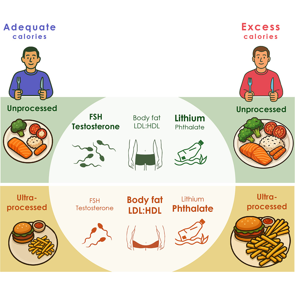 cibi ultra processati
