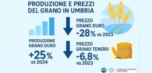 Grano, in Umbria produzione in crescita, ma prezzi in discesa, infografica prezzi e produzione grano