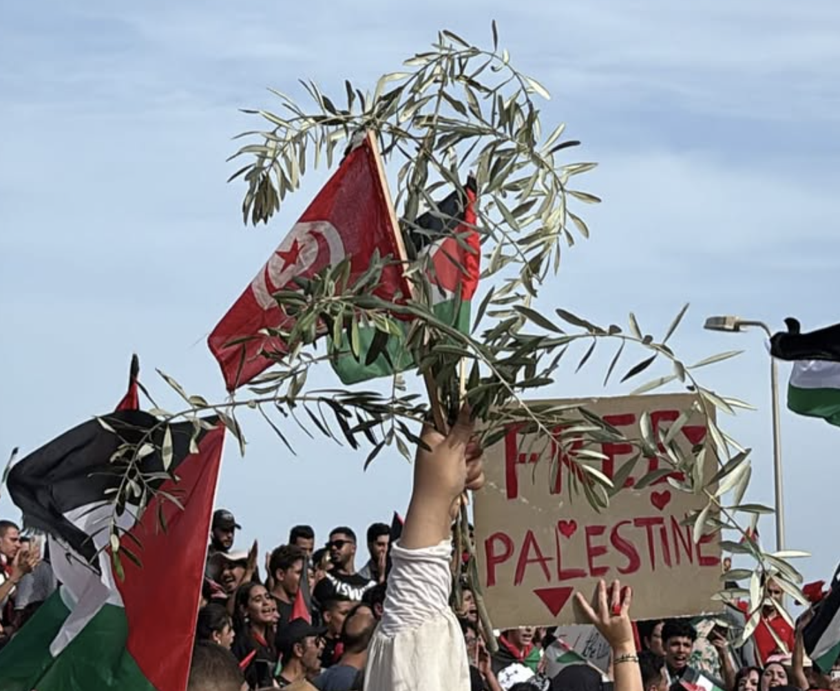 Global Sumud Flotilla, diffuse le immagini dell'attacco con drone militare