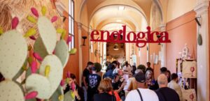 Umbria, torna ‘Enologica Montefalco’, 3 giorni tra vino, esperienze, arte e musica, foto enologica