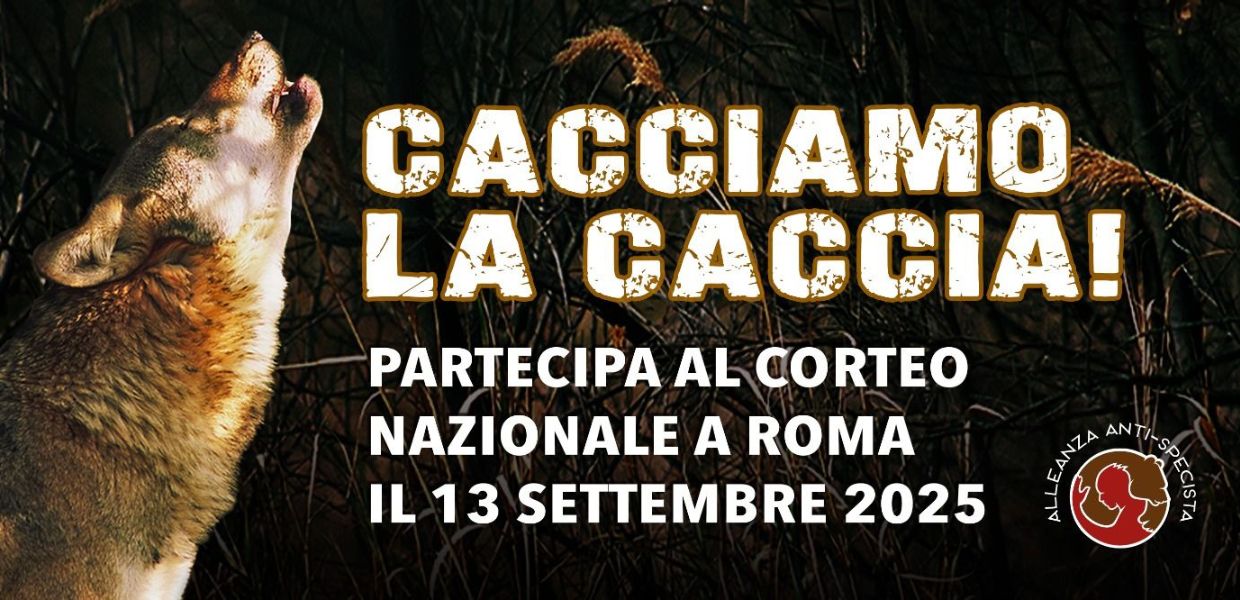 Cacciamo la caccia, Roma in piazza contro la Riforma Lollobrigida