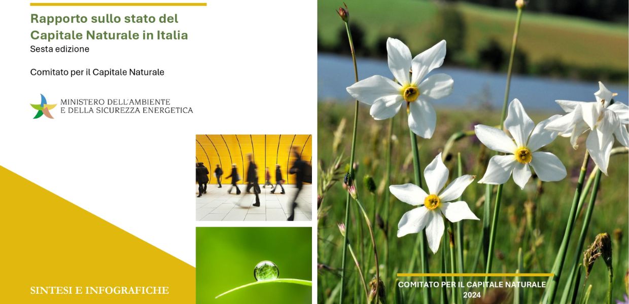 capitale naturale rapporto italia