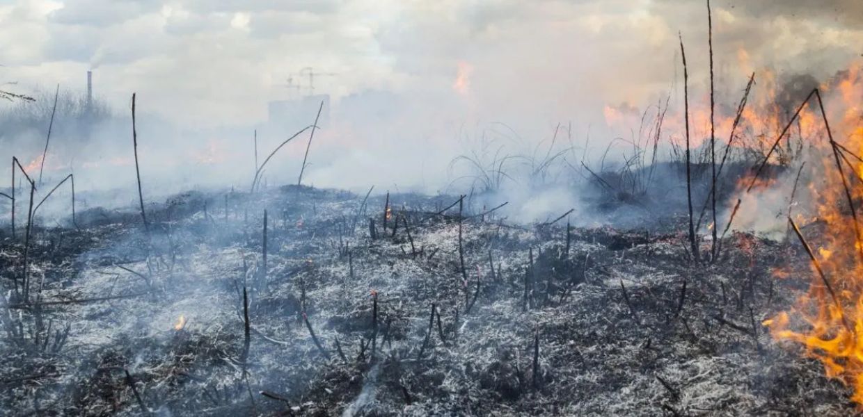 clima incendi salute