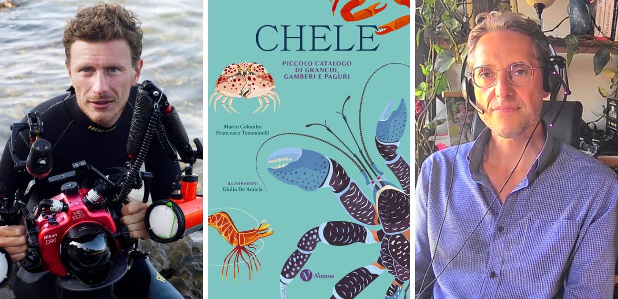 Tutto sui crostacei: arriva il libro "Chele. Piccolo catalogo di granchi, gamberi e paguri"