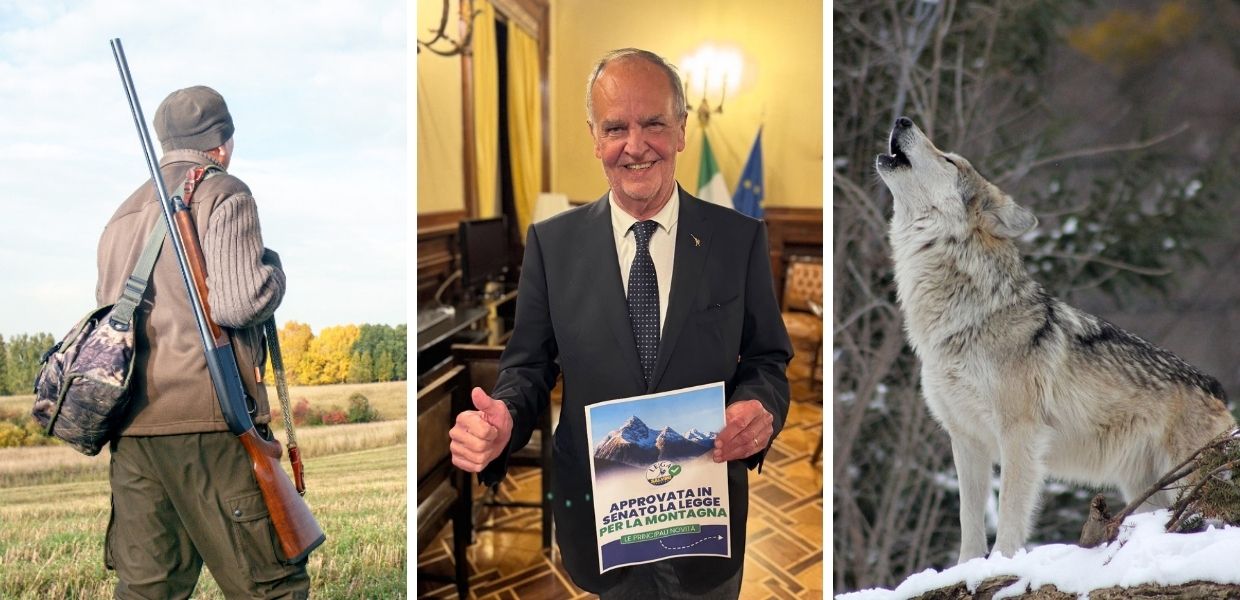 Via libera al ddl Montagna: arrivano la caccia sui valichi e gli abbattimenti dei lupi
