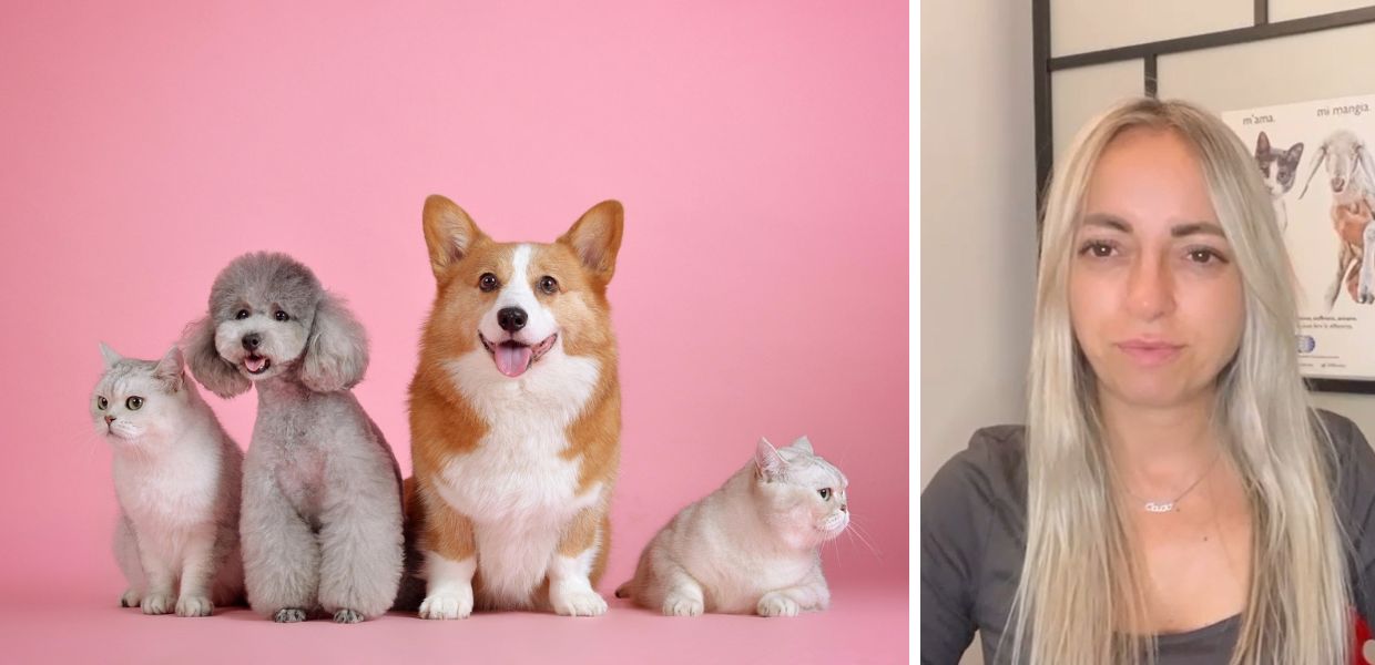 Arriva la Giornata mondiale degli animali, ecco perché celebrarla