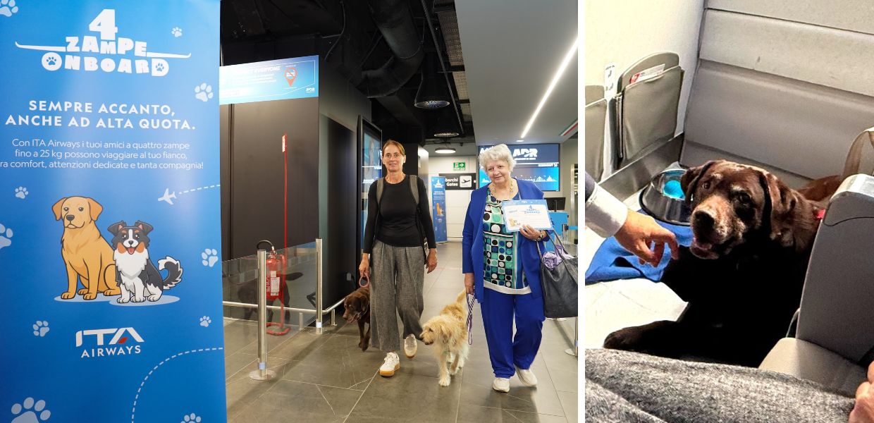 ITA Airways, da Milano Linate a Roma Fiumicino il primo volo con cani di grossa taglia in cabina