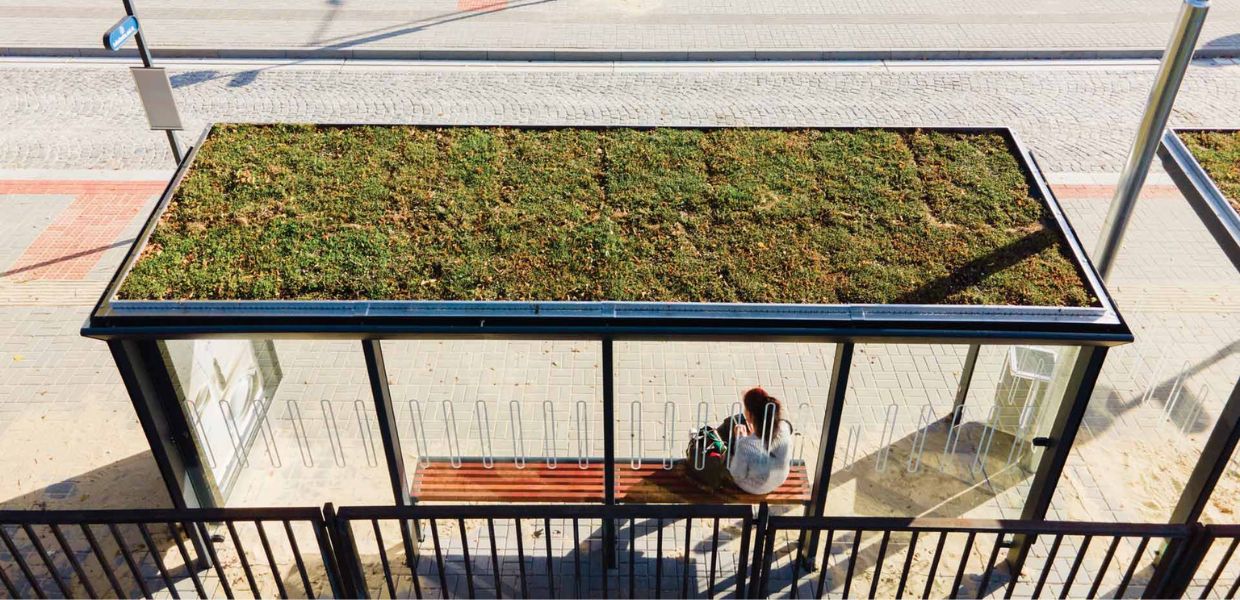 Natura in città, la fermata dell'autobus diventa un'oasi ricca di biodiversità