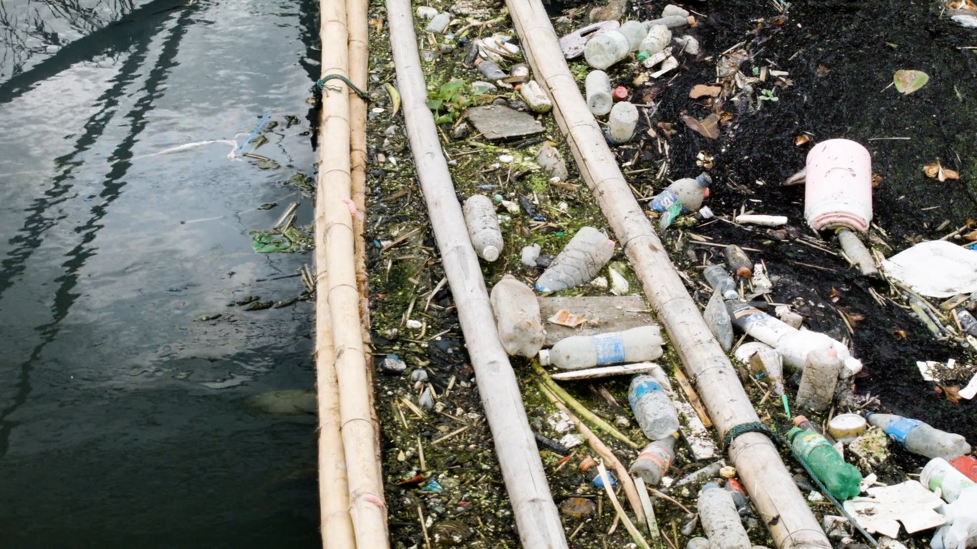 Foruma Acqua, Legambiente chiede che la resilienza idrica sia al centro dell'agenda politica