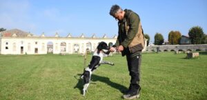 A Città di Castello (Pg) 3 giorni dedicati al tartufo bianco pregiato, tartufai