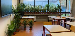 A Terni il progetto ‘Verde a Scuola’, piante migliorano qualità dell’aria e della vita, aula con piante