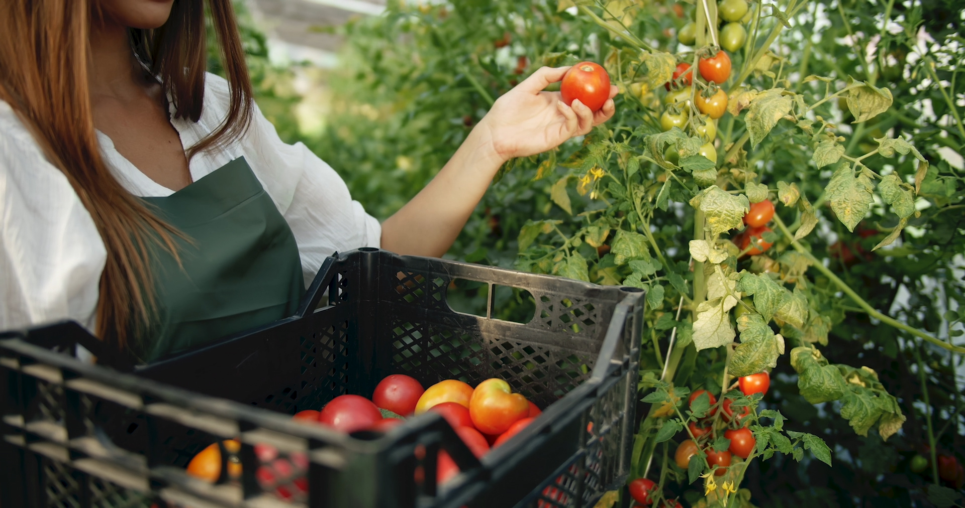 Gadda: "Sbagliata proposta von der Leyen, la Pac deve essere sostenuta non depotenziata"