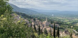 Assisi (Pg), il Festival delle Creature per la convivenza ‘uomo - altri animali’, Assisi dall'alto