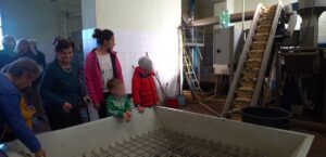 Castel Ritaldi (Pg), Frantotipico olio nuovo e sapori autentici, visita Frantoio