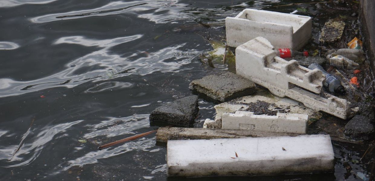 Inquinamento marino, continua la campagna Bluefishers di Fondazione Marevivo